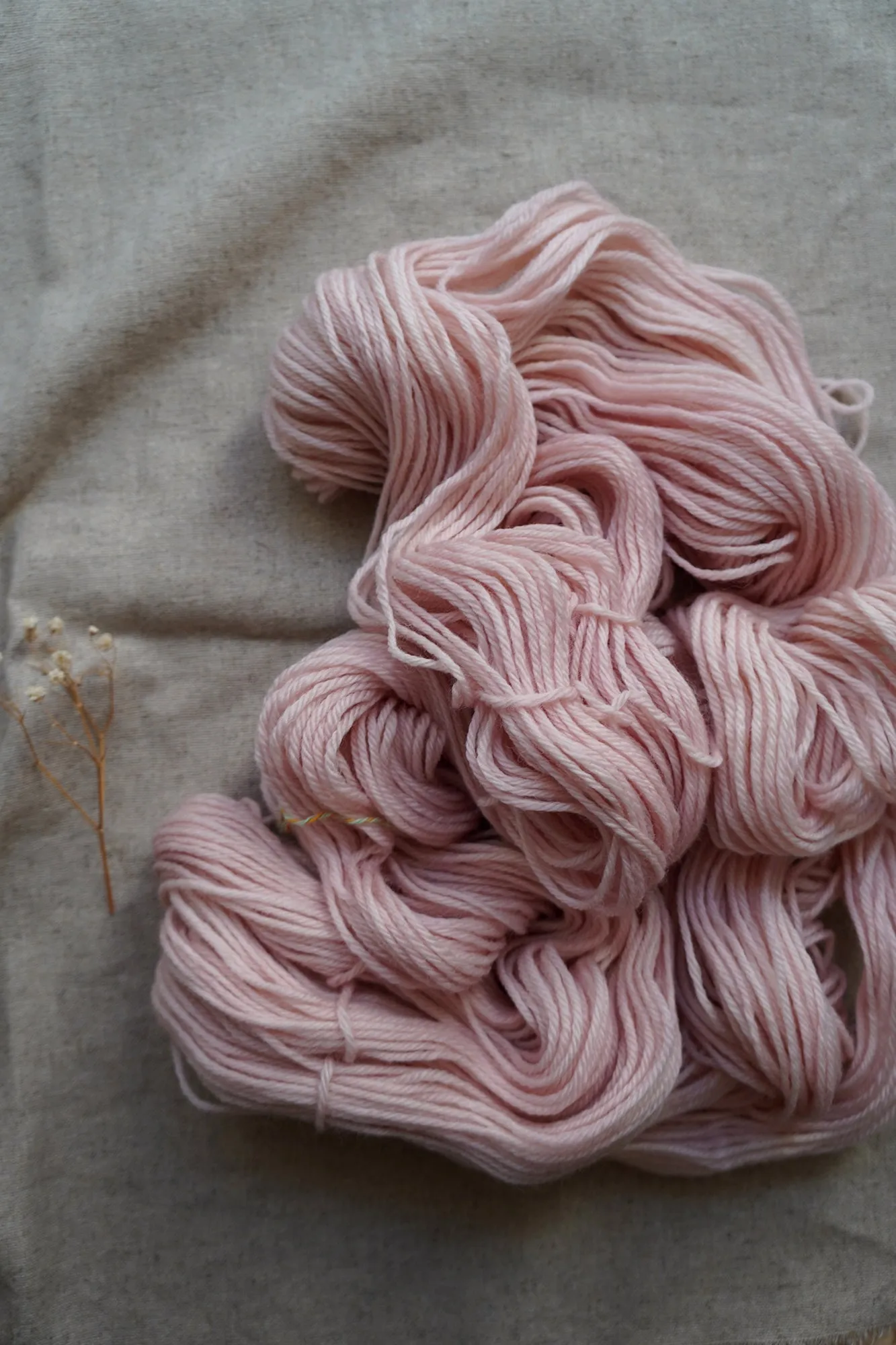Elder - Ballet Shoes