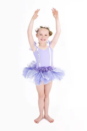 Lilac fairy
