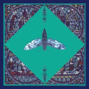 Mith Turquoise Modal Scarf