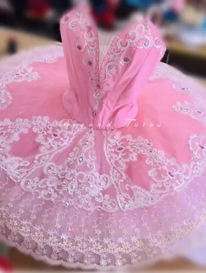 Pink Professional Tutu