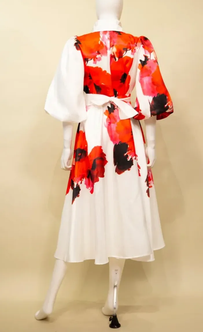 S23035 - Printed Duppioni Dress w/ Double Collar