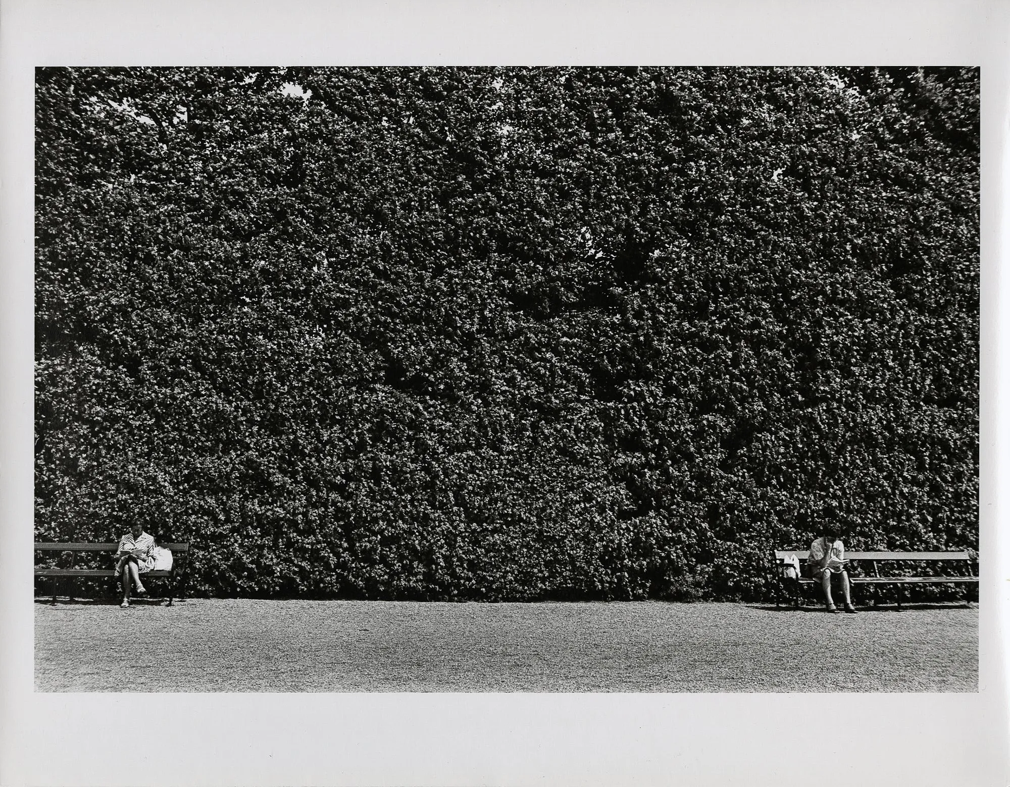 Schonbrunn Palace (vintage print)