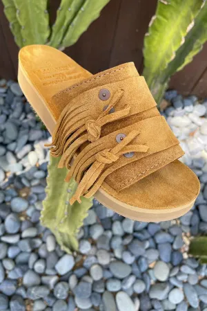 Women's Cherokee Suede Camel Sandal